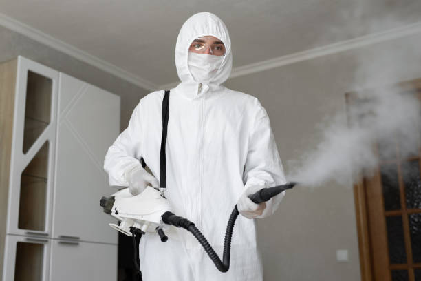 Mold Odor Removal Services in Coalfield, TN